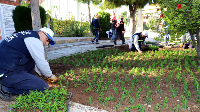 AKDENİZ’DE PARK, BAHÇE VE YEŞİL ALANLAR YENİLENİYOR