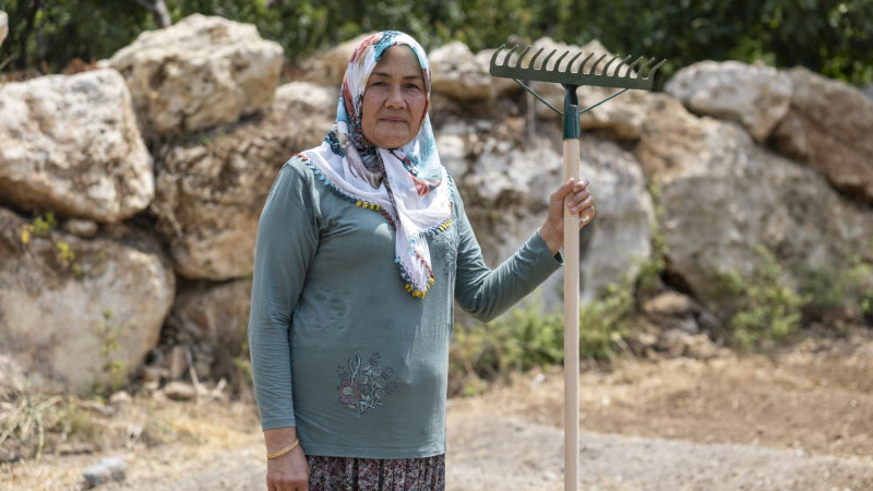 Yenişehir Belediyesinin desteğiyle safran üreticisi sayısı artıyor