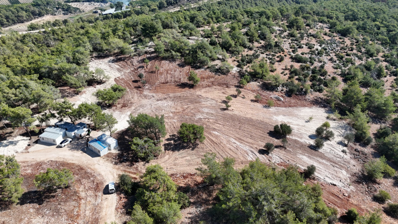 MEZİTLİ BELEDİYESİ’NDEN SOKAK HAYVANLARI İÇİN “DOĞAL YAŞAM ALANI” PROJESİ