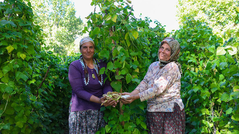 BÜYÜKŞEHİR ATALIK TOHUMLARI GELECEK NESİLLERE AKTARIYOR