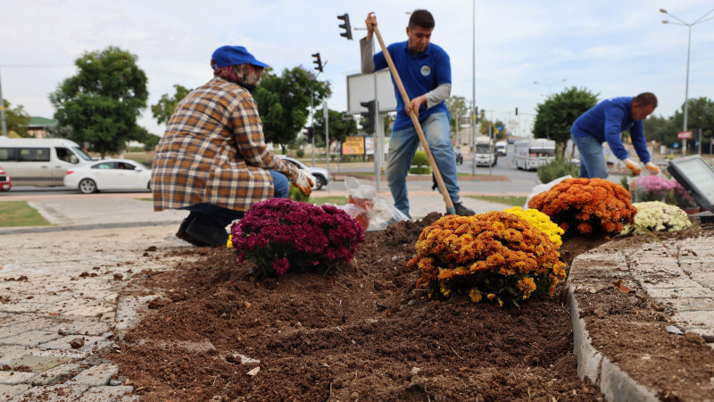 TOROSLAR’IN YEŞİL ALANLARI KASIMPATI İLE RENKLENDİ