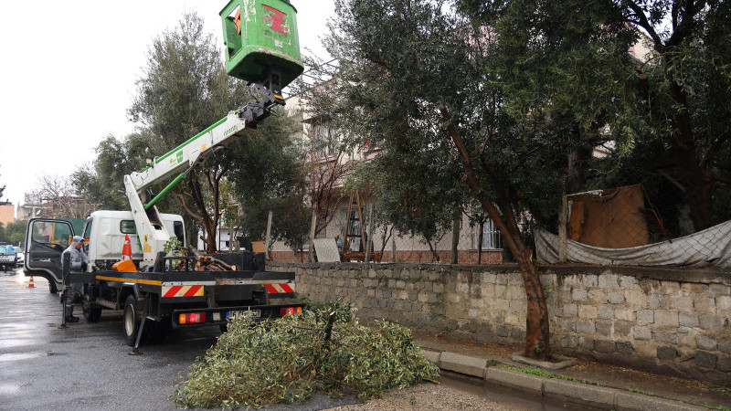 MERSİN’DE ŞİDDETLİ FIRTINA AĞAÇLARI DEVİRDİ, ÇATILARI UÇURDU: TOROSLAR BELEDİYESİ ANINDA SAHAYA İNDİ