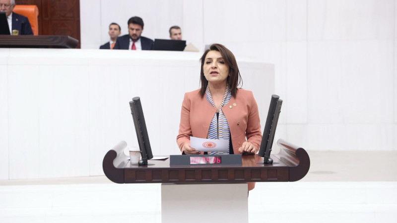 GÜLCAN KIŞ “AKP MERSİNLİ ÜRETİCİNİN EMEĞİNE LİMON SIKIYOR” 