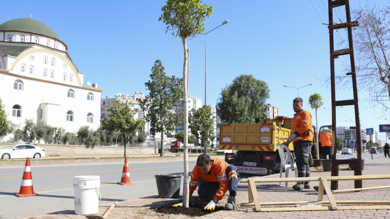 MERSİN BÜYÜKŞEHİR’DEN ‘AĞAÇLANDIRMA KAMPANYASI’